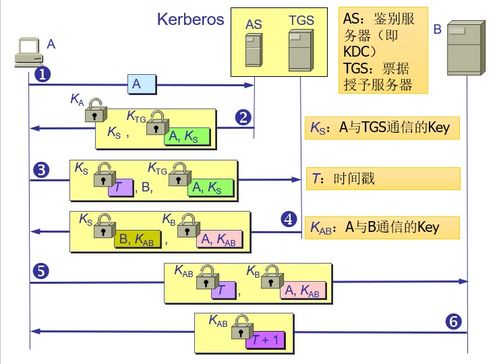 計(jì)算機(jī)網(wǎng)絡(luò)體系結(jié)構(gòu)、網(wǎng)絡(luò)安全與技術(shù)開發(fā) 互聯(lián)時(shí)代的基石
